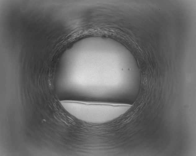 X0000084021490200702160812