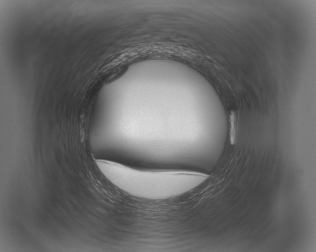 X0000084021491200702160812