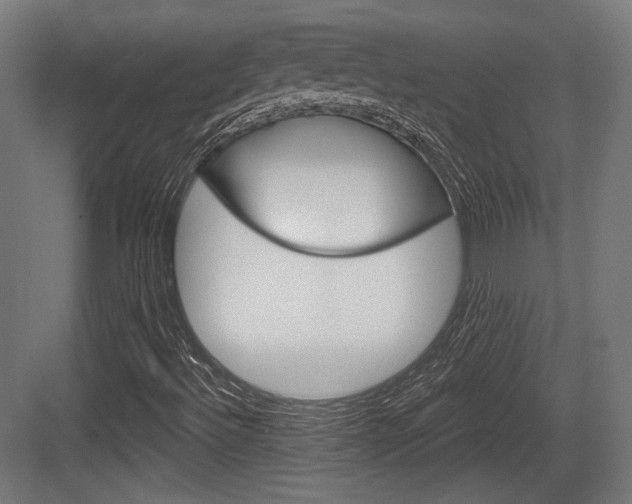 X0000084021492200702160812