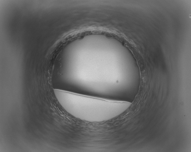 X0000084021495200702160813