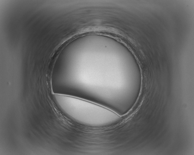 X0000084021497200702160813