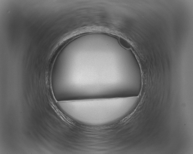 X0000084021499200702160813