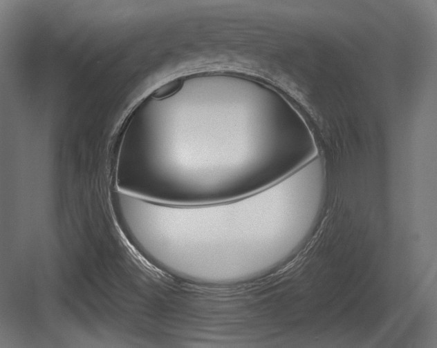 X0000084021500200702160813