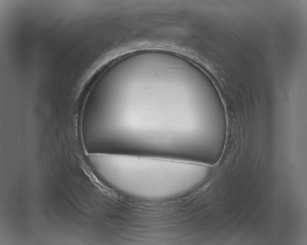 X0000084021503200702160813