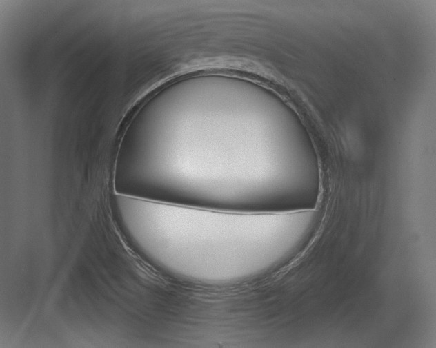 X0000084021505200702160813
