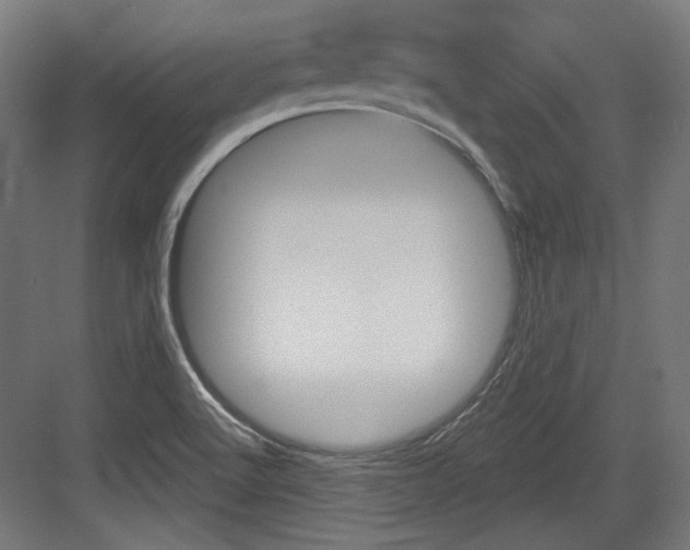 X0000084021512200702160813