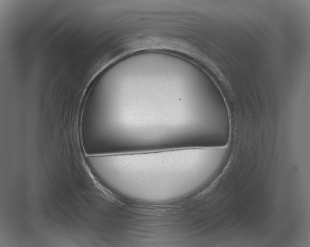 X0000084021513200702160813
