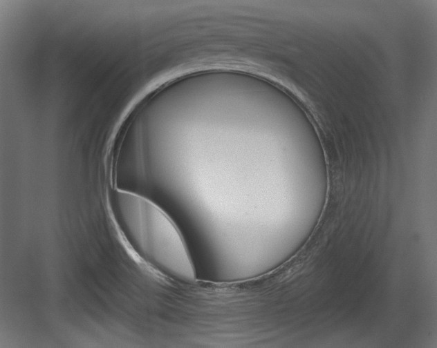 X0000084021515200702160813