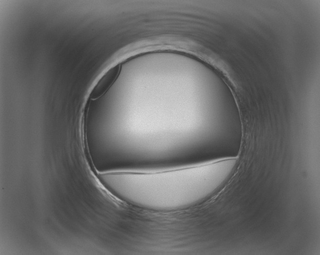 X0000084021516200702160813
