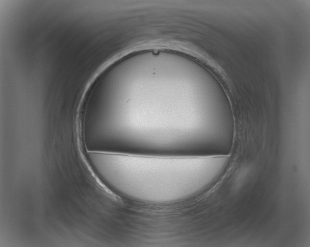 X0000084021517200702160813