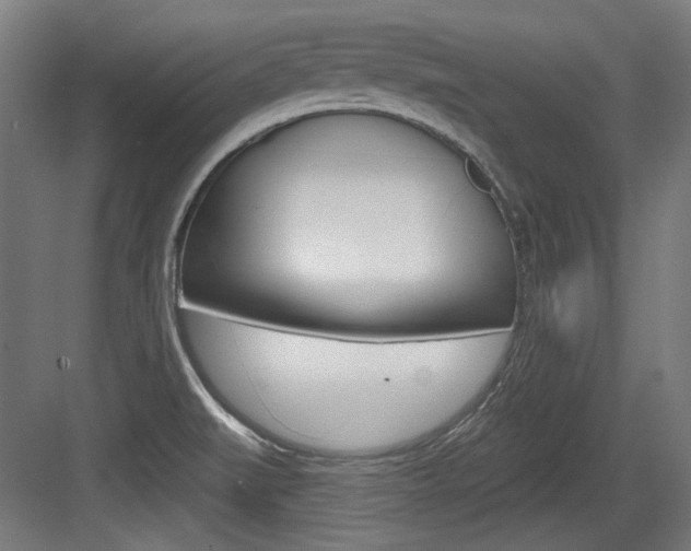 X0000084021519200702160813