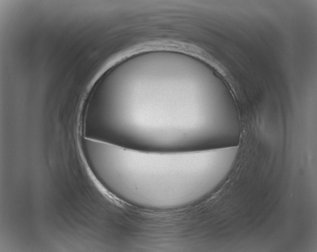 X0000084021523200702160813
