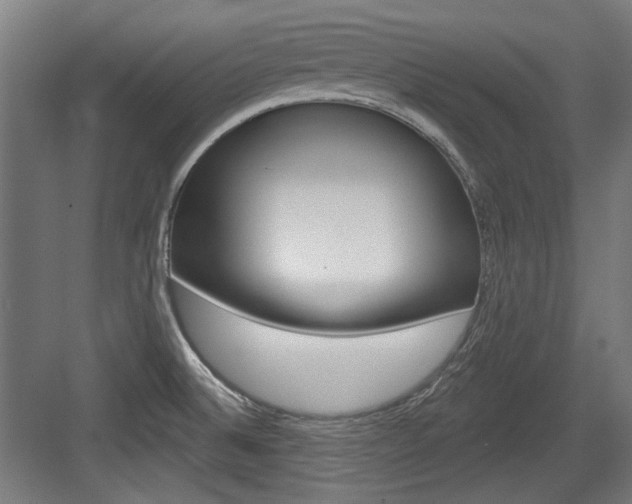 X0000084021524200702160813