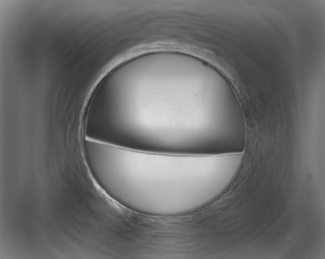 X0000084021527200702160813
