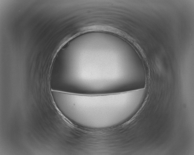 X0000084021529200702160813
