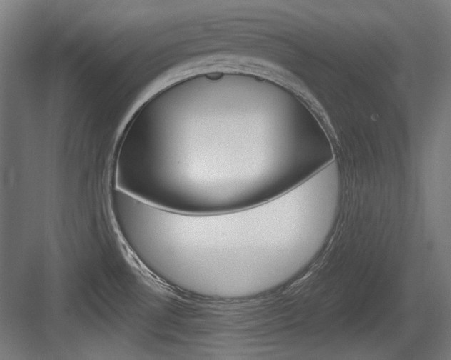 X0000084021530200702160813