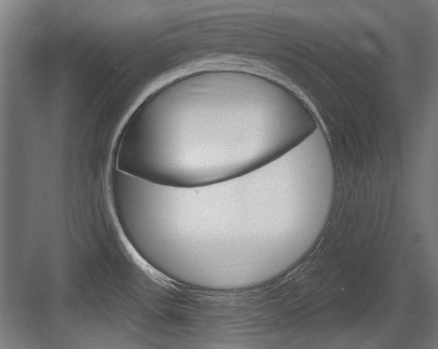 X0000084021531200702160813