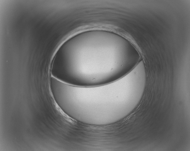 X0000084021532200702160813