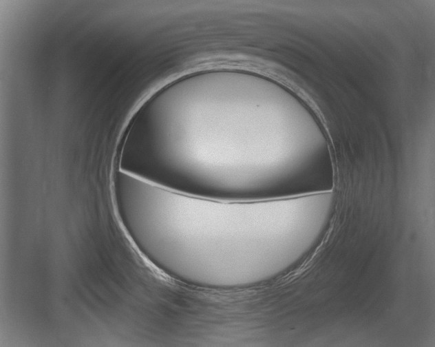X0000084021533200702160813