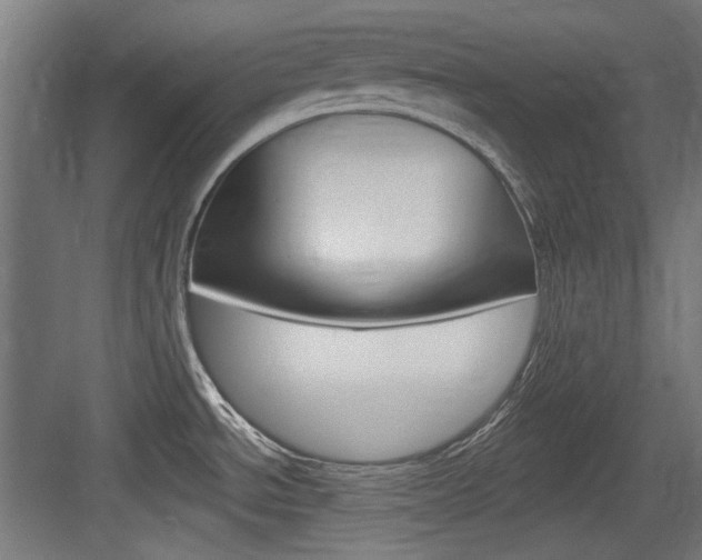 X0000084021534200702160813