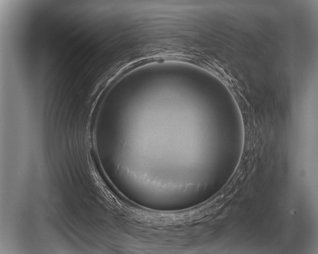 X0000084020002200702161240