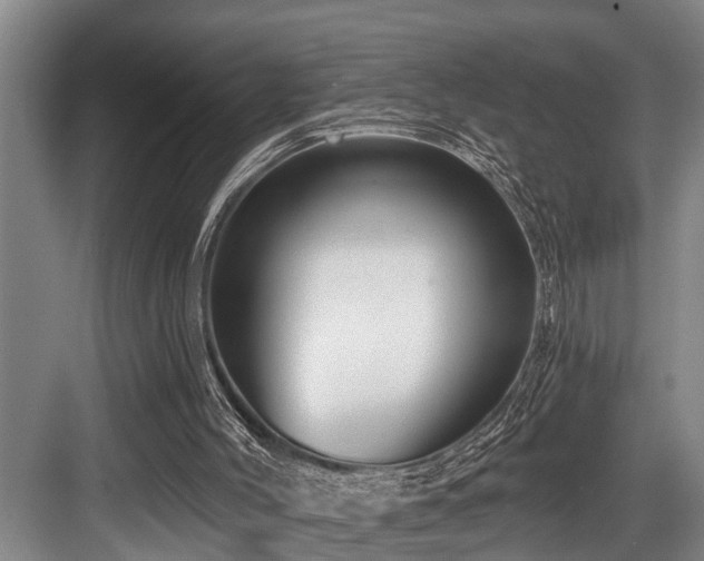 X0000084020004200702161240