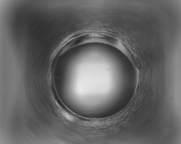 X0000084020005200702161240