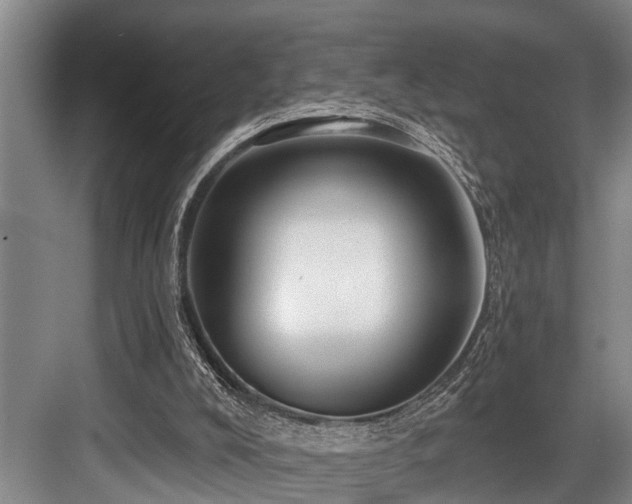 X0000084020008200702161240