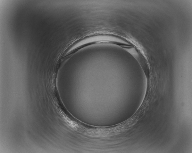X0000084020009200702161240