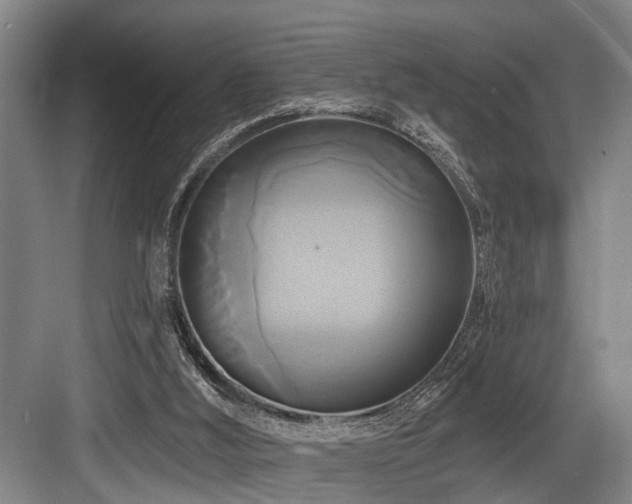 X0000084020012200702161240