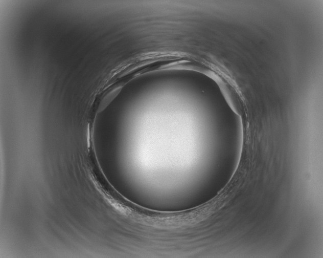 X0000084020013200702161240