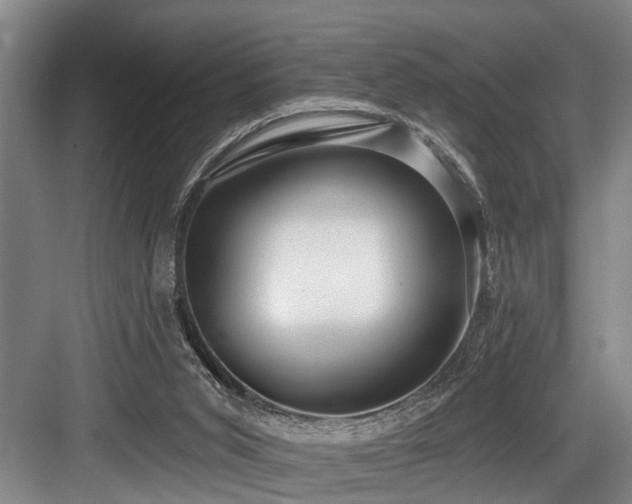 X0000084020015200702161239