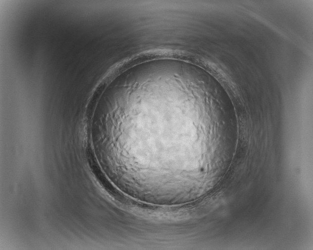 X0000084020016200702161239