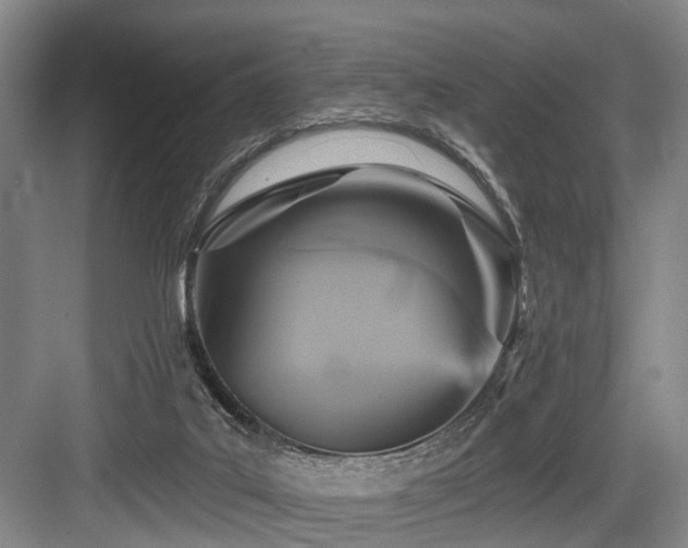 X0000084020019200702161239