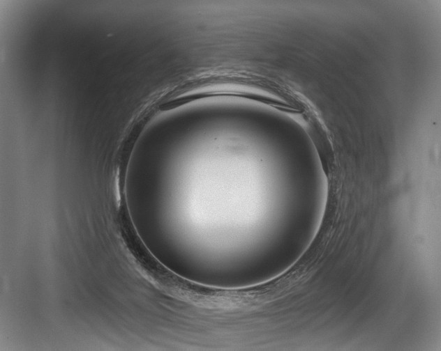 X0000084020020200702161239