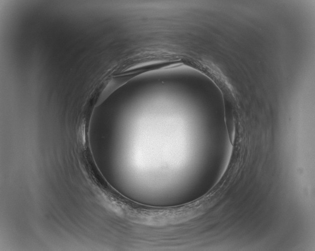 X0000084020021200702161239