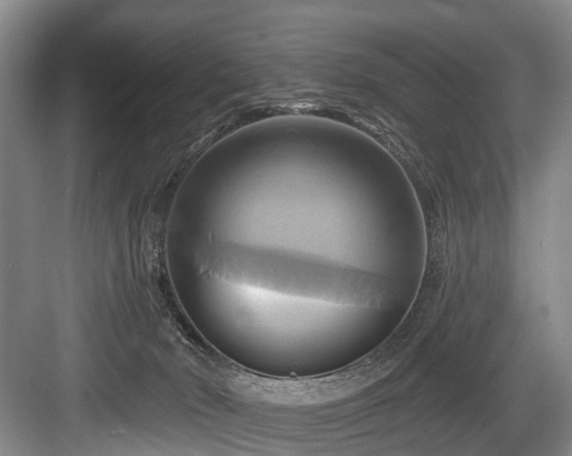 X0000084020030200702161239