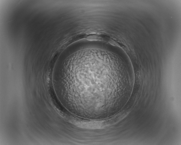 X0000084020032200702161239
