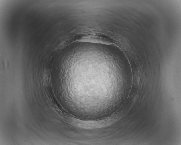 X0000084020034200702161239
