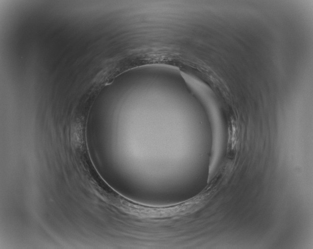 X0000084020035200702161239