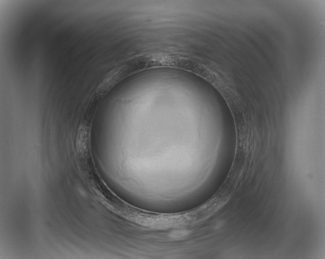 X0000084020036200702161239