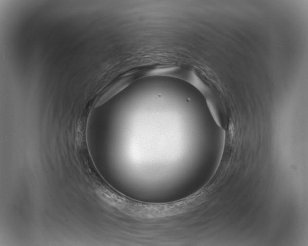 X0000084020037200702161239