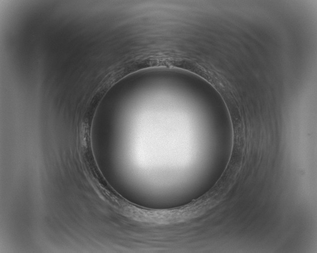 X0000084020038200702161239