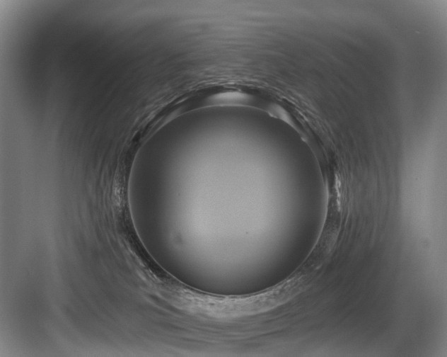 X0000084020039200702161239