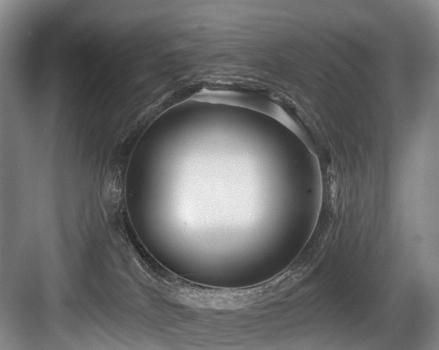 X0000084020040200702161239