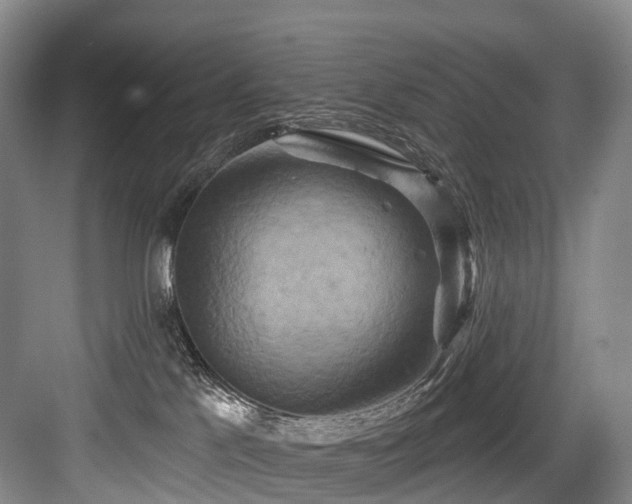 X0000084020041200702161239
