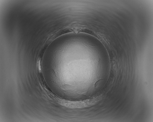 X0000084020042200702161239