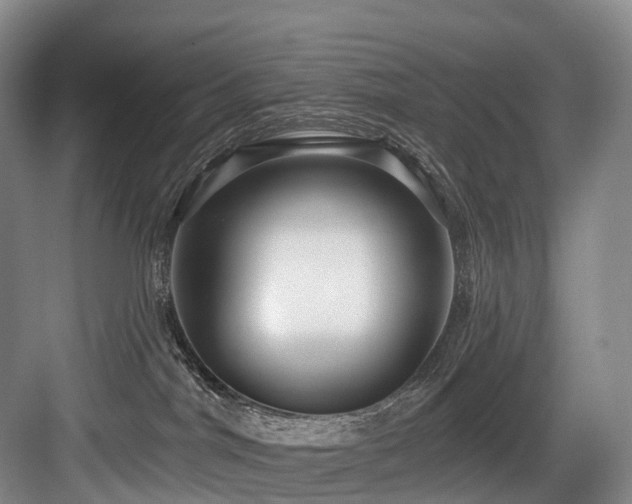 X0000084020044200702161239