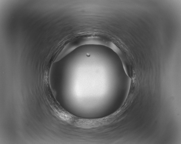 X0000084020045200702161239