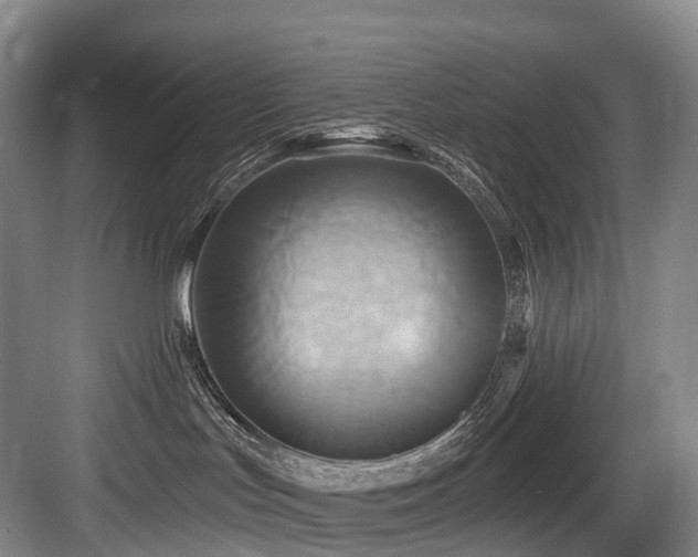 X0000084020047200702161239